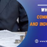 What are Commercial and Industrial loans
